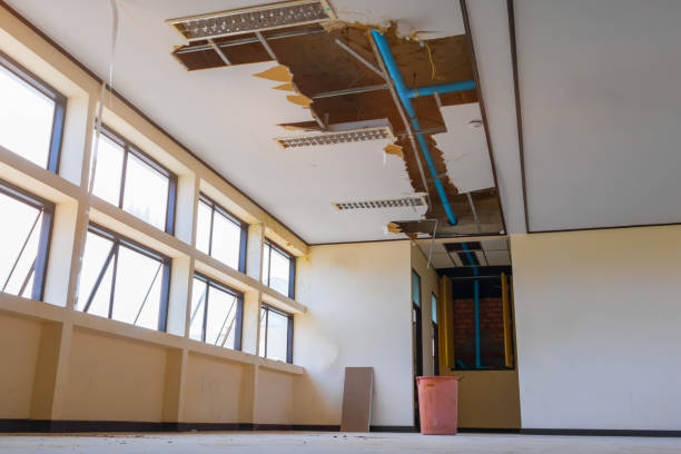 Best 24/7 water damage repair  in Boca Raton, FL