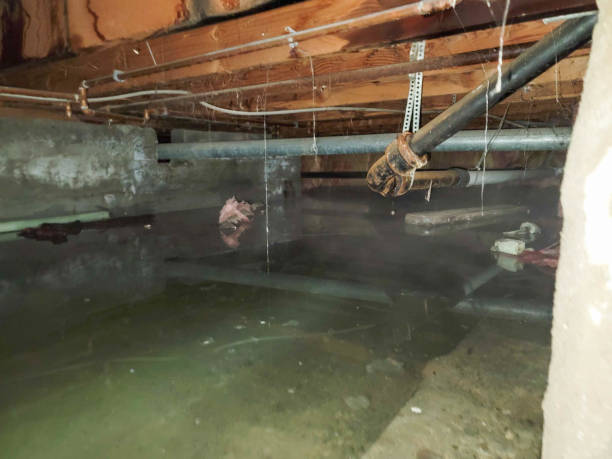 Best Fire Damage Restoration  in Boca Raton, FL