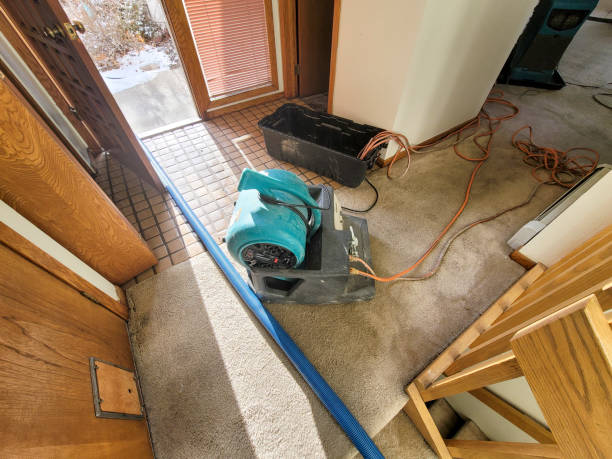 Best Ceiling water damage repair  in Boca Raton, FL