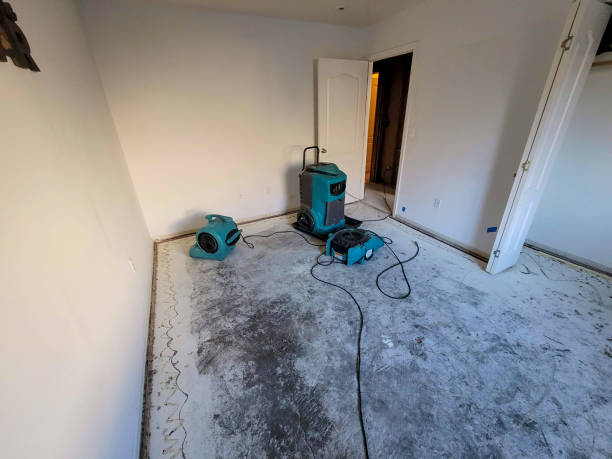 Best Water damage cleanup near me  in Boca Raton, FL