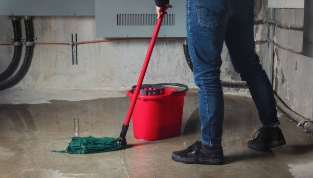 Best Flooded house restoration  in Boca Raton, FL