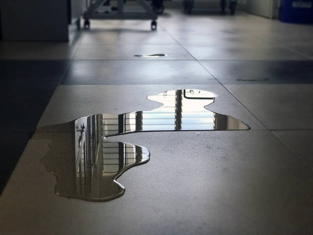 Best Local water damage restoration  in Boca Raton, FL