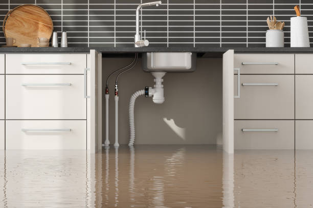 Best Water damage restoration cost  in Boca Raton, FL