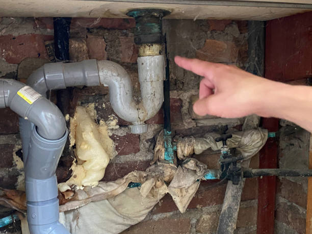 Best Sewage cleanup and water damage restoration  in Boca Raton, FL